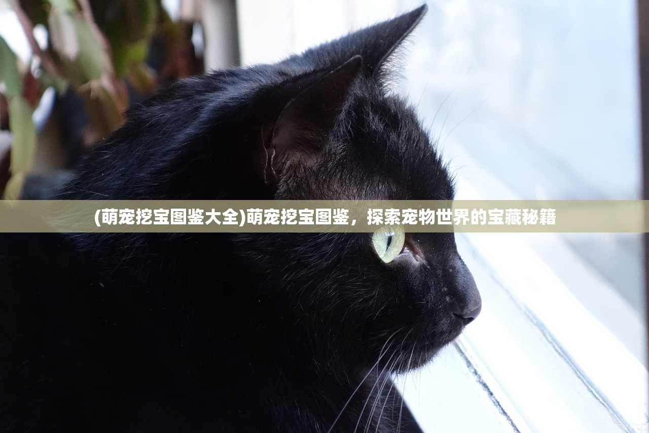 (萌宠挖宝图鉴大全)萌宠挖宝图鉴，探索宠物世界的宝藏秘籍