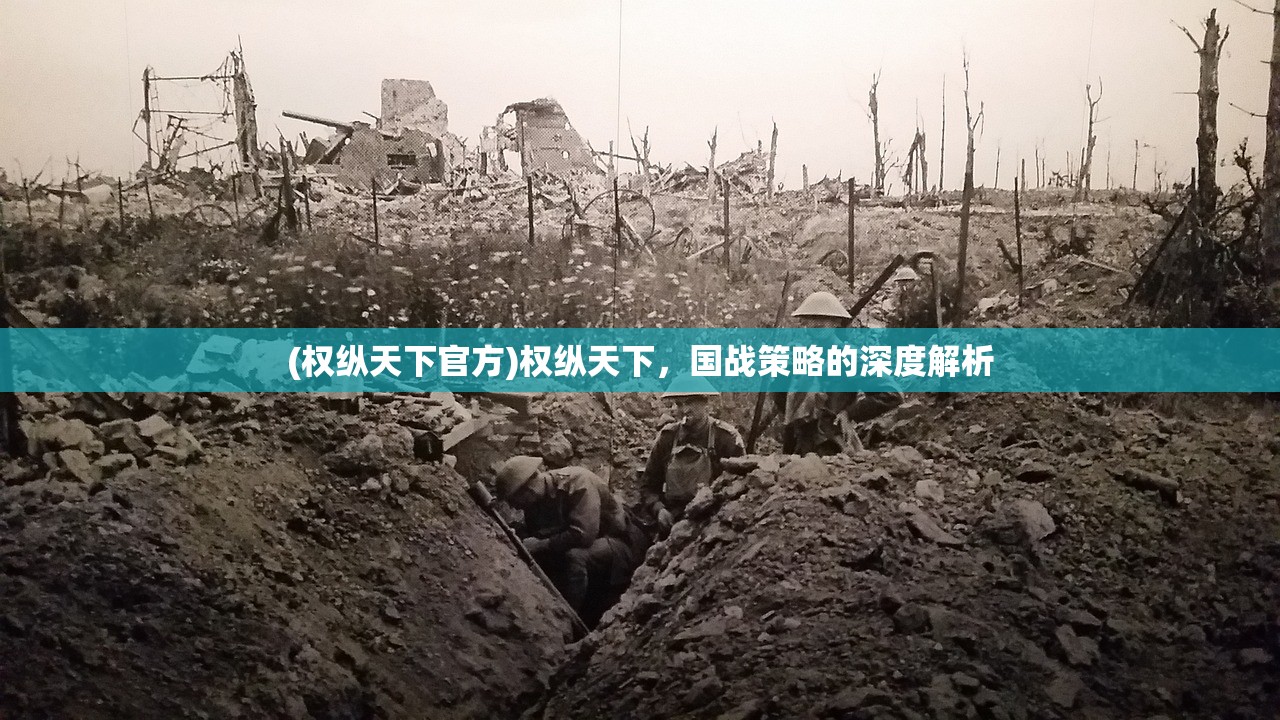 (权纵天下官方)权纵天下，国战策略的深度解析