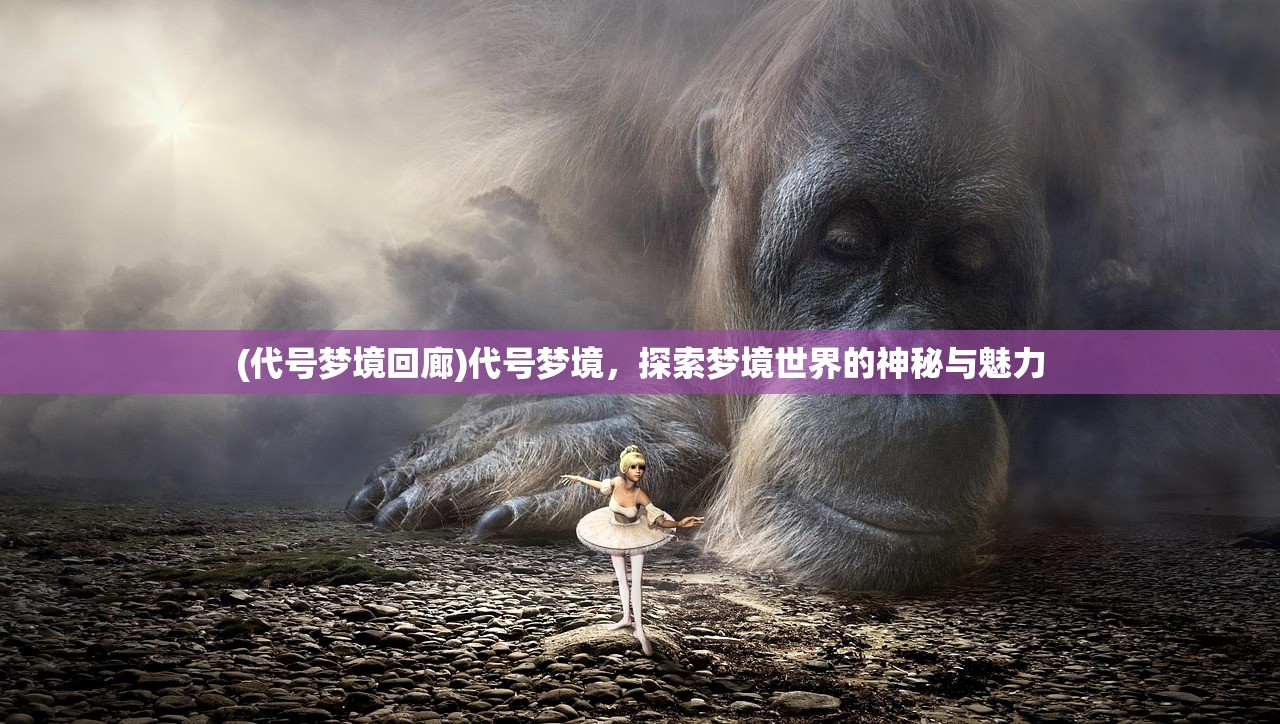 (代号梦境回廊)代号梦境，探索梦境世界的神秘与魅力