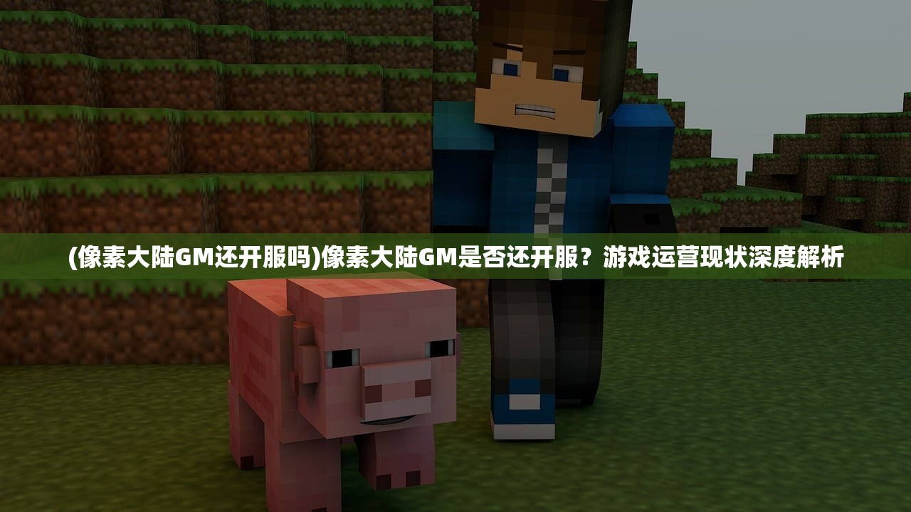 (像素大陆GM还开服吗)像素大陆GM是否还开服？游戏运营现状深度解析