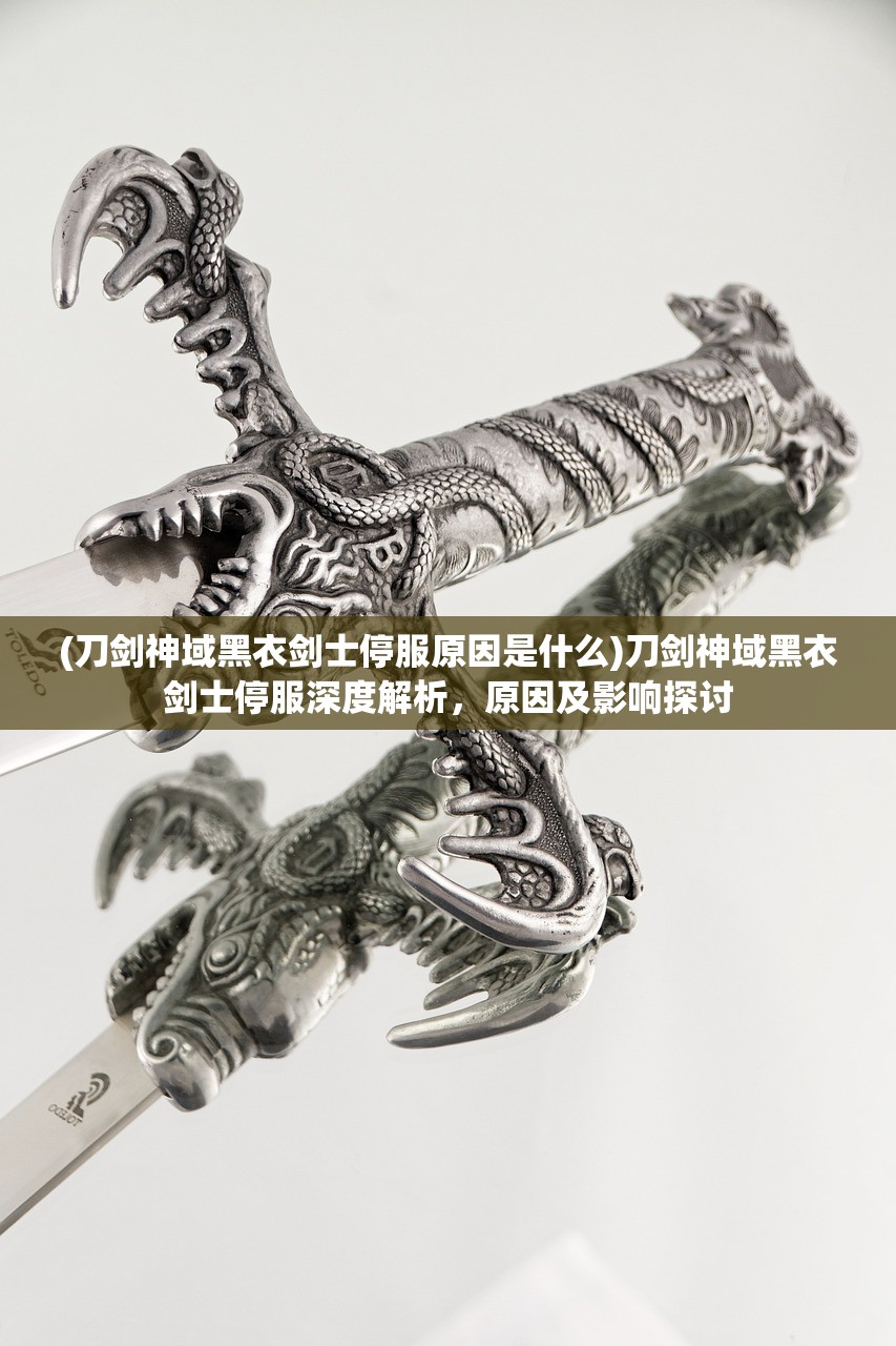 (刀剑神域黑衣剑士停服原因是什么)刀剑神域黑衣剑士停服深度解析，原因及影响探讨