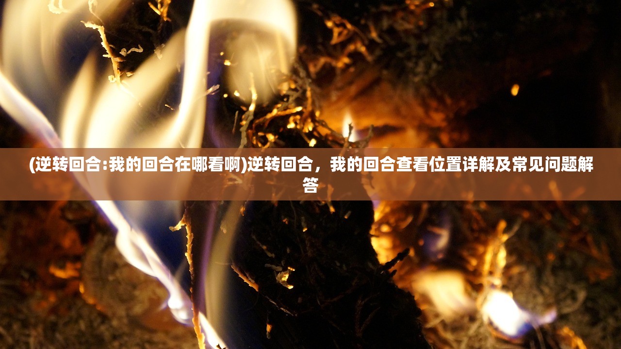 (逆转回合:我的回合在哪看啊)逆转回合，我的回合查看位置详解及常见问题解答
