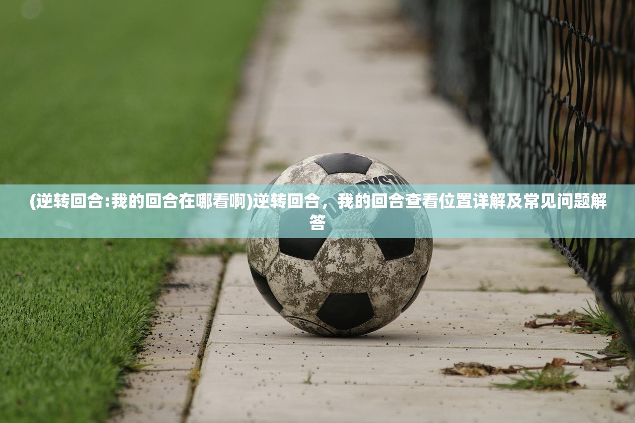 (逆转回合:我的回合在哪看啊)逆转回合，我的回合查看位置详解及常见问题解答