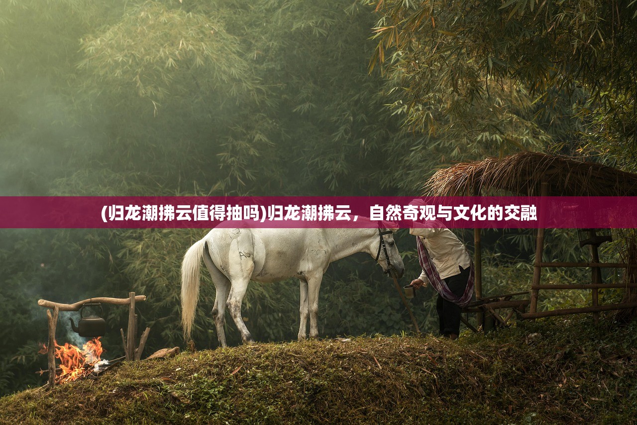 (归龙潮拂云值得抽吗)归龙潮拂云，自然奇观与文化的交融