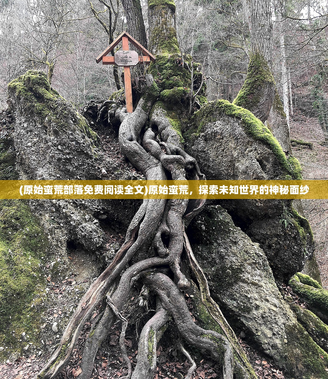 (原始蛮荒部落免费阅读全文)原始蛮荒，探索未知世界的神秘面纱