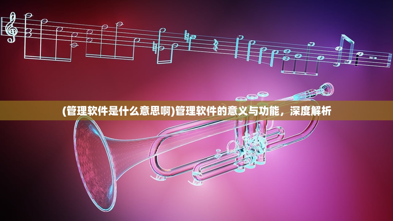 (管理软件是什么意思啊)管理软件的意义与功能，深度解析