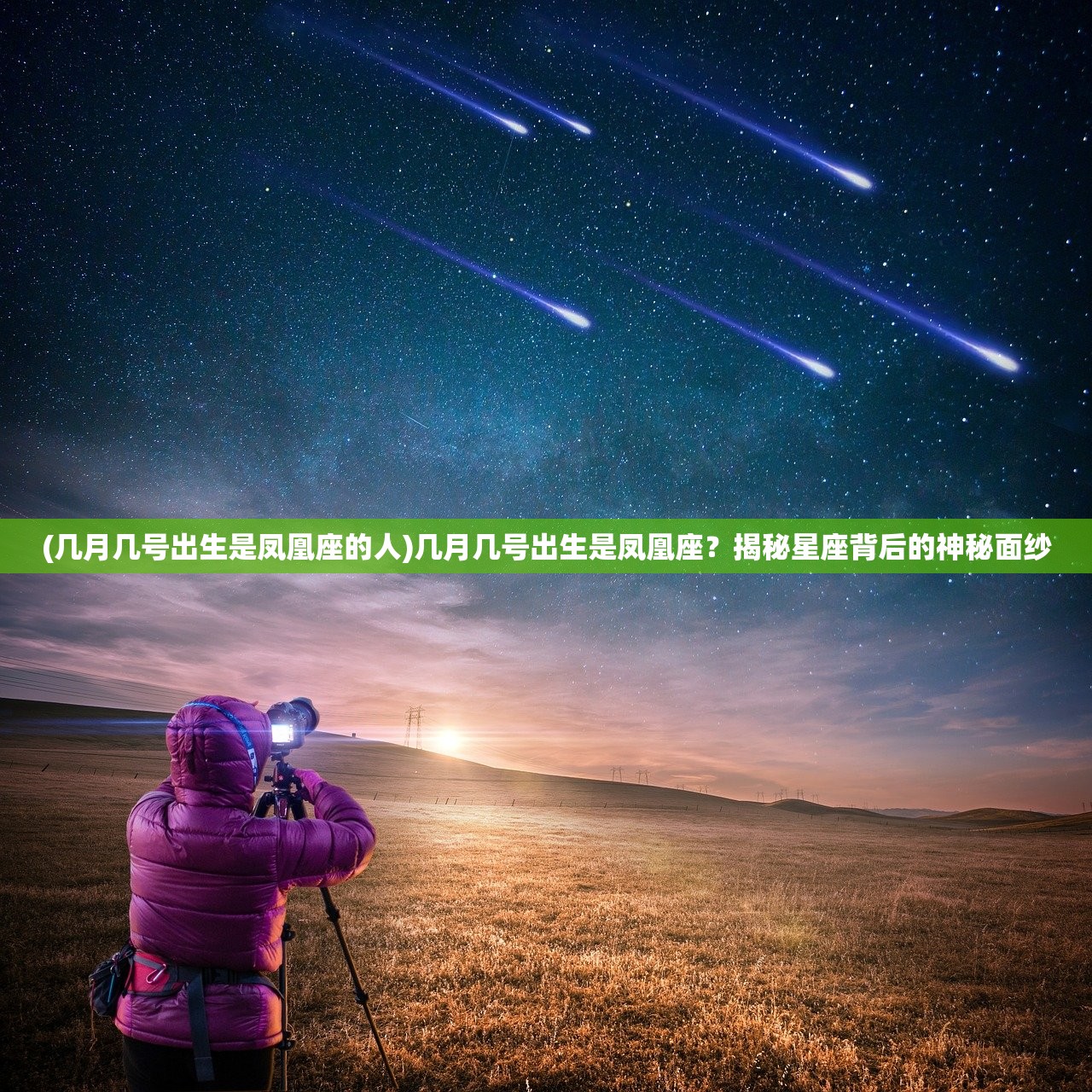 (几月几号出生是凤凰座的人)几月几号出生是凤凰座？揭秘星座背后的神秘面纱