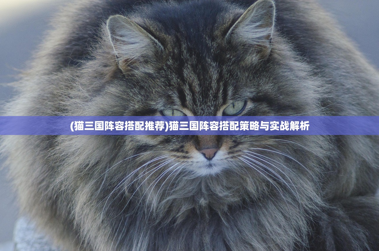 (猫三国阵容搭配推荐)猫三国阵容搭配策略与实战解析