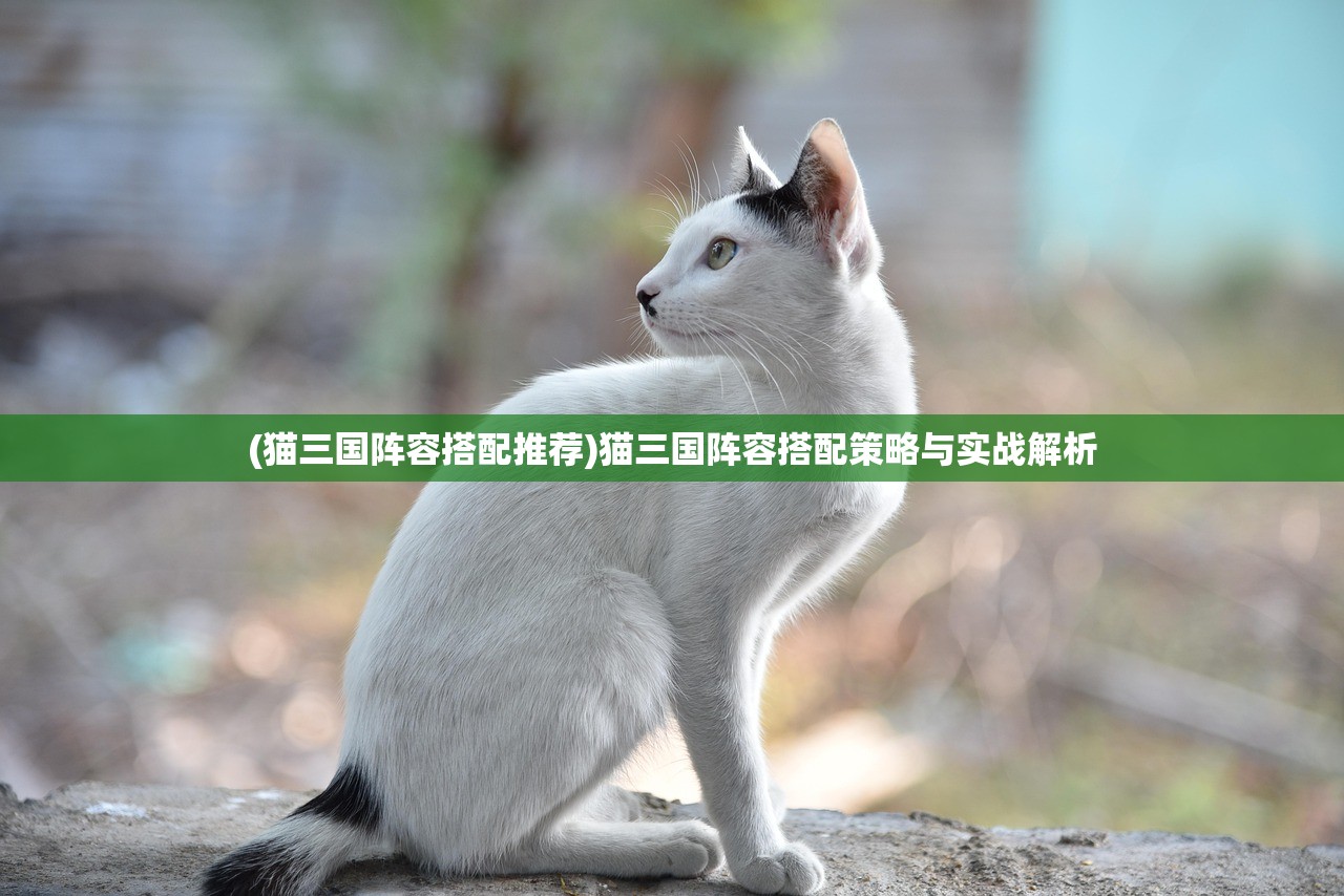 (猫三国阵容搭配推荐)猫三国阵容搭配策略与实战解析