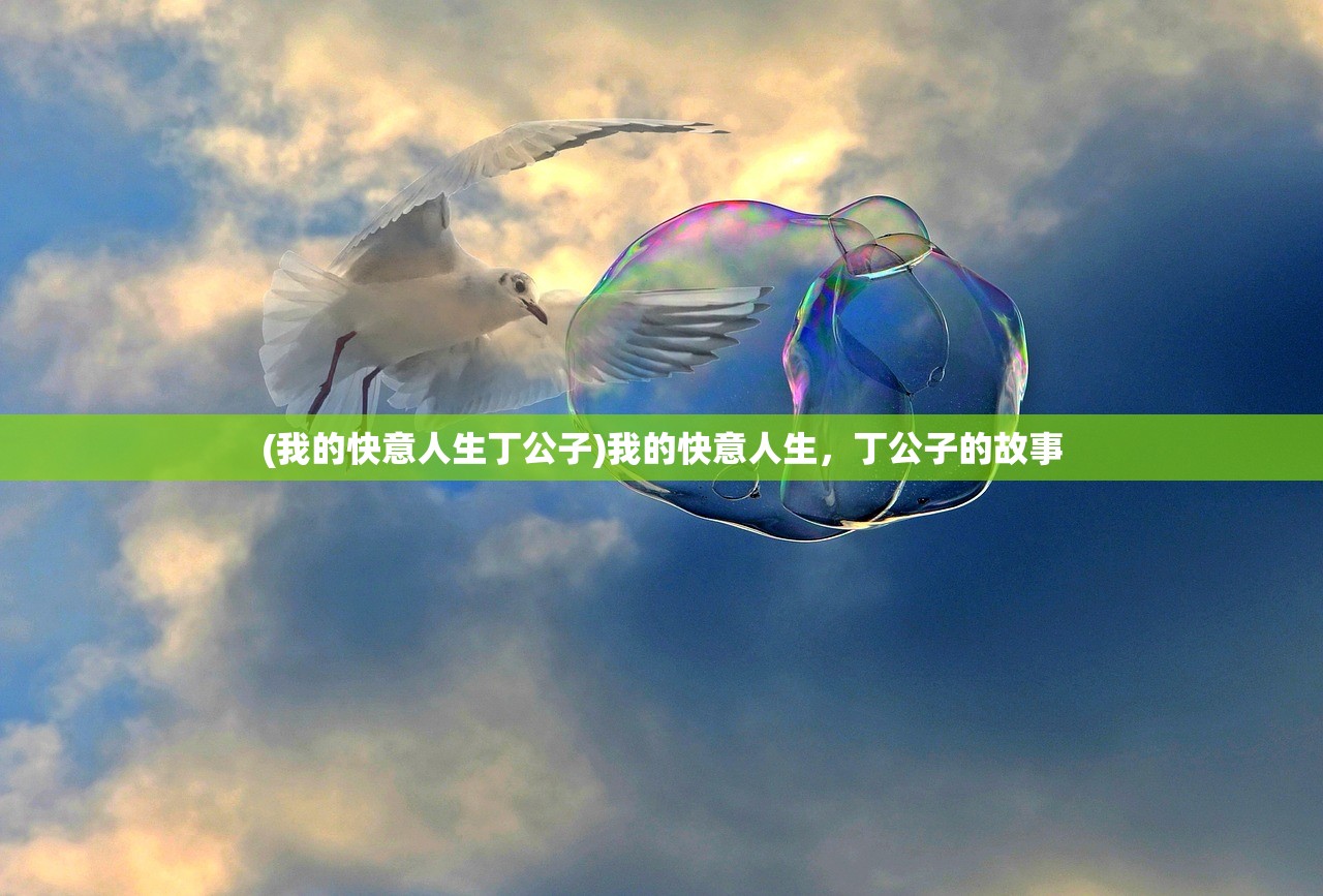 (我的快意人生丁公子)我的快意人生，丁公子的故事