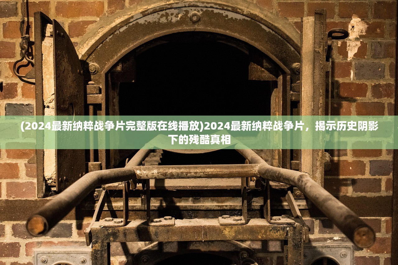 (2024最新纳粹战争片完整版在线播放)2024最新纳粹战争片，揭示历史阴影下的残酷真相