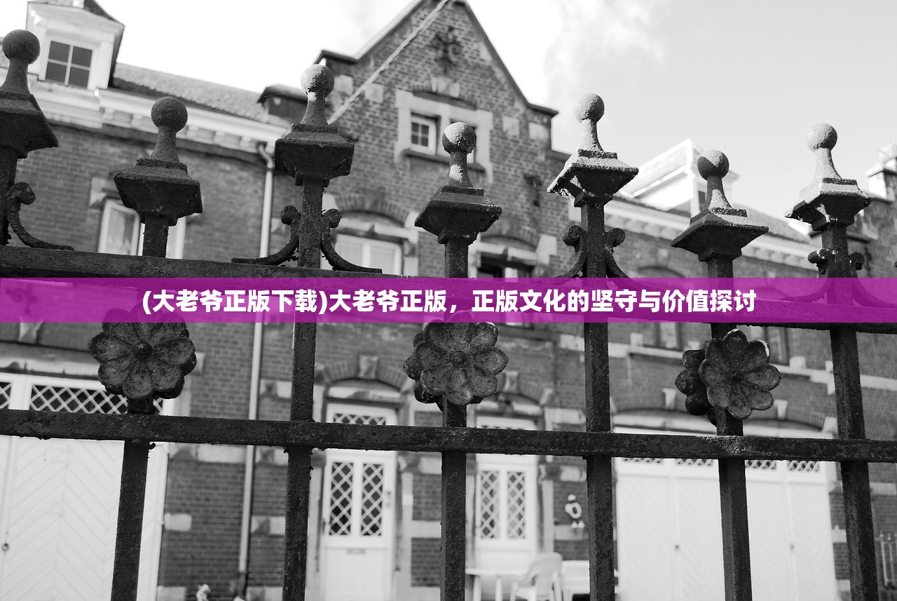 (大老爷正版下载)大老爷正版，正版文化的坚守与价值探讨