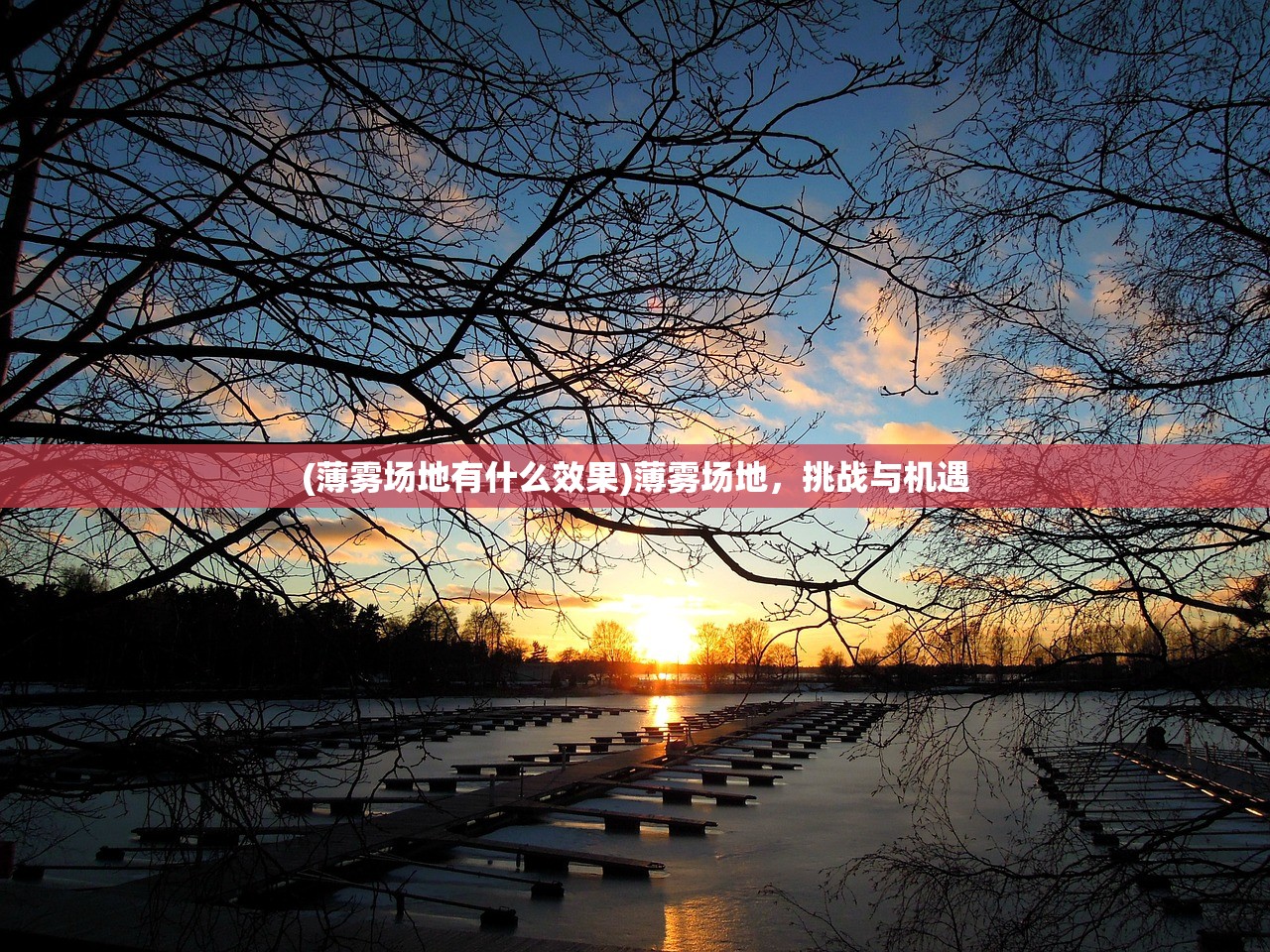 (薄雾场地有什么效果)薄雾场地，挑战与机遇