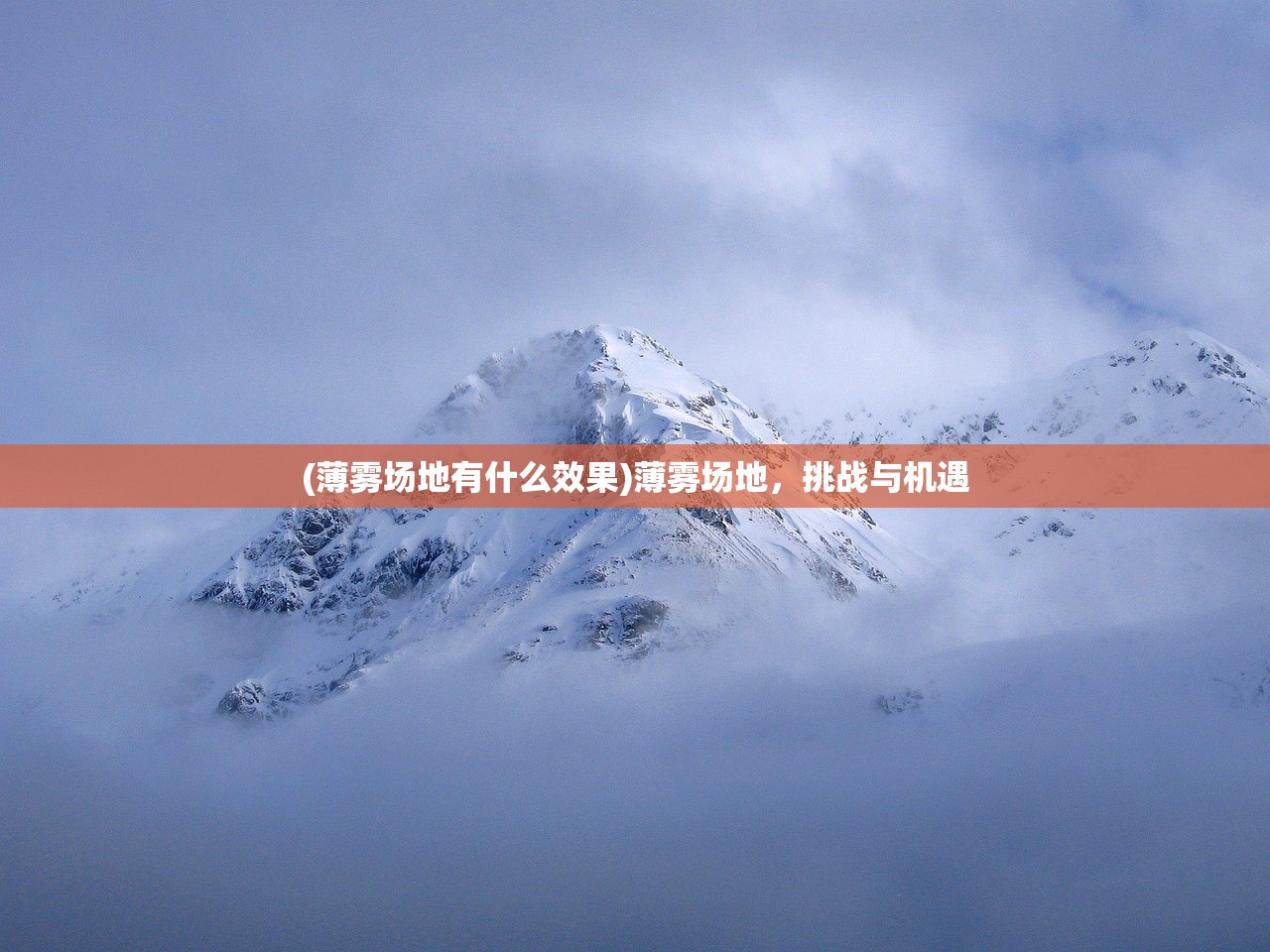 (薄雾场地有什么效果)薄雾场地，挑战与机遇