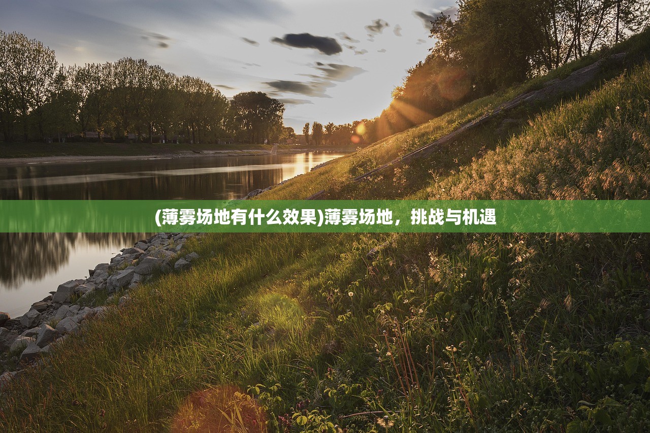 (薄雾场地有什么效果)薄雾场地，挑战与机遇