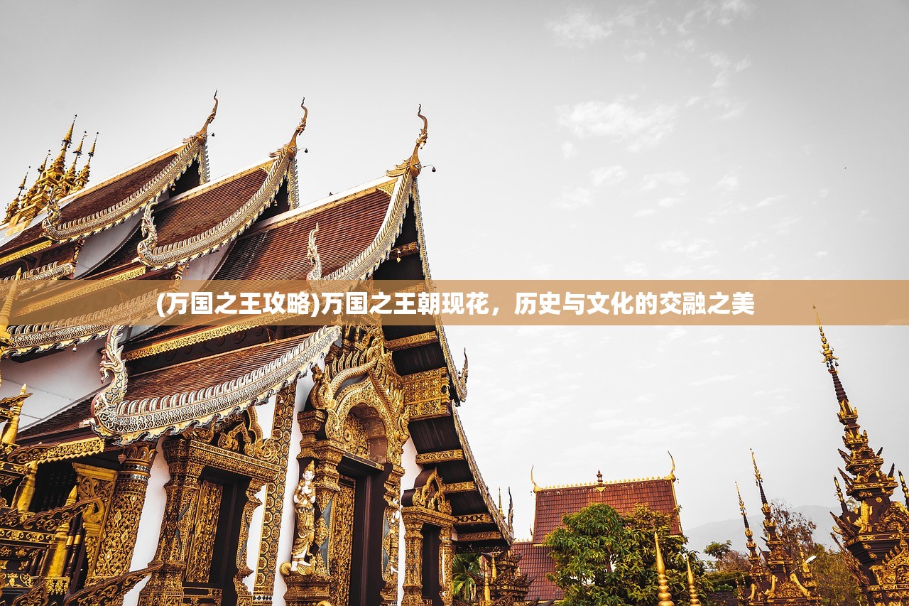 (万国之王攻略)万国之王朝现花，历史与文化的交融之美