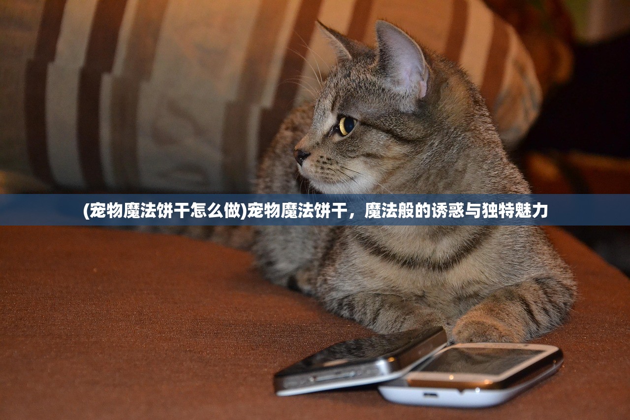 (宠物魔法饼干怎么做)宠物魔法饼干，魔法般的诱惑与独特魅力