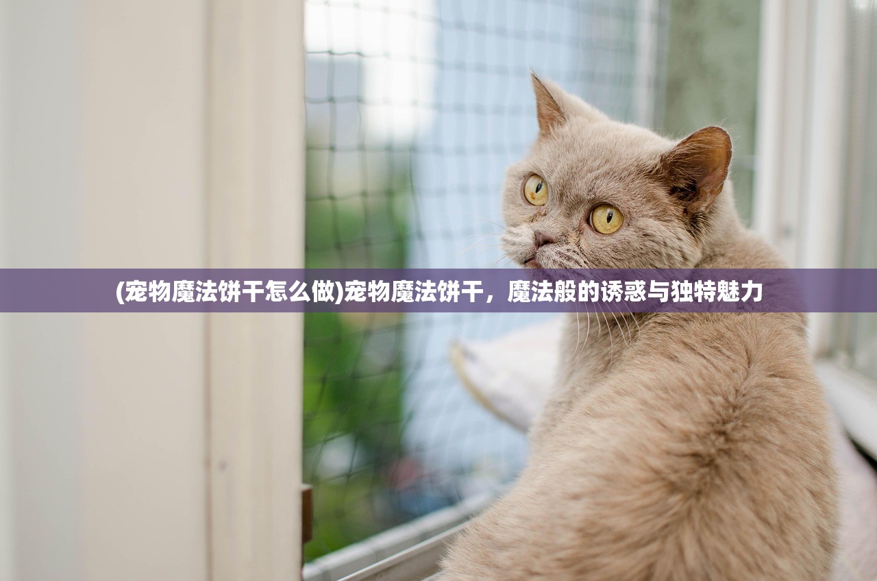 (宠物魔法饼干怎么做)宠物魔法饼干，魔法般的诱惑与独特魅力