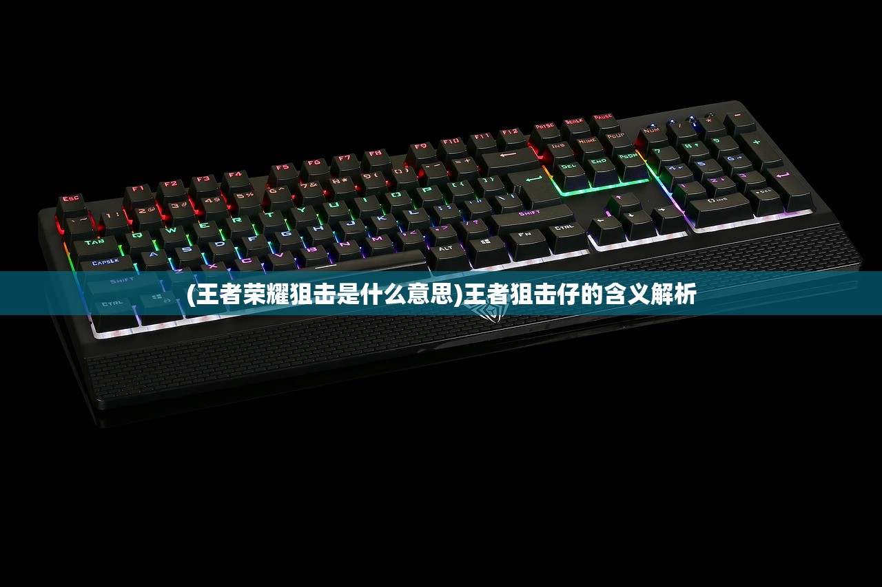 (王者荣耀狙击是什么意思)王者狙击仔的含义解析
