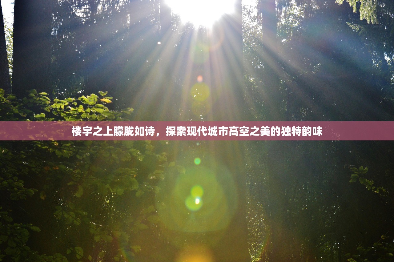 楼宇之上朦胧如诗，探索现代城市高空之美的独特韵味