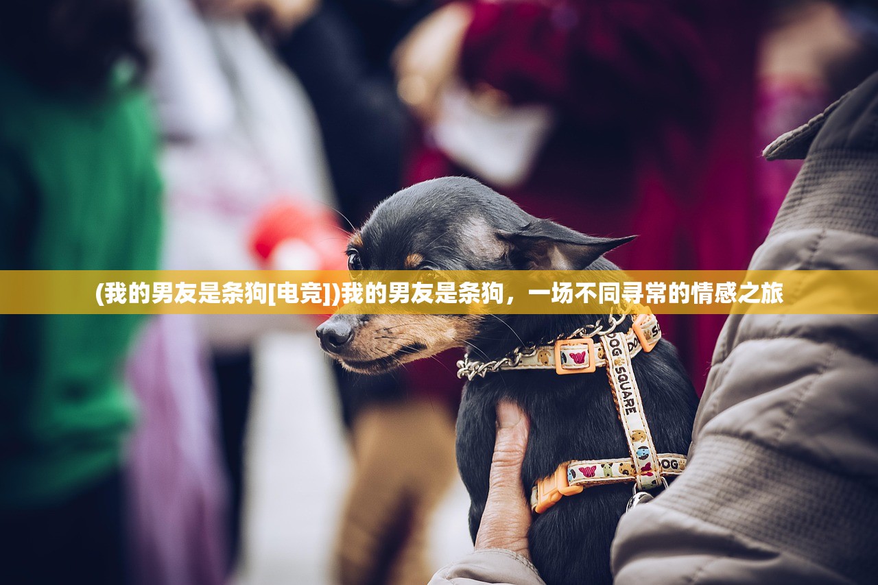 (我的男友是条狗[电竞])我的男友是条狗，一场不同寻常的情感之旅