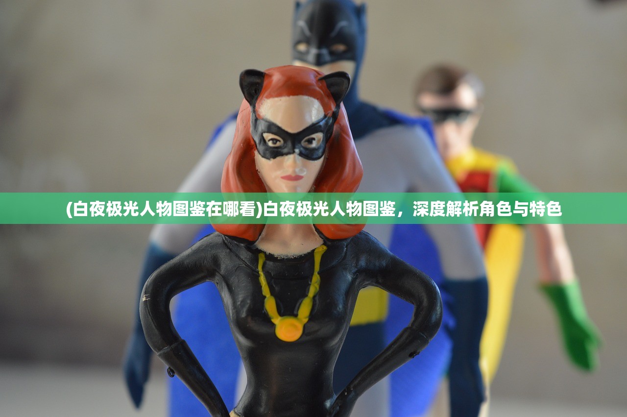 (白夜极光人物图鉴在哪看)白夜极光人物图鉴，深度解析角色与特色