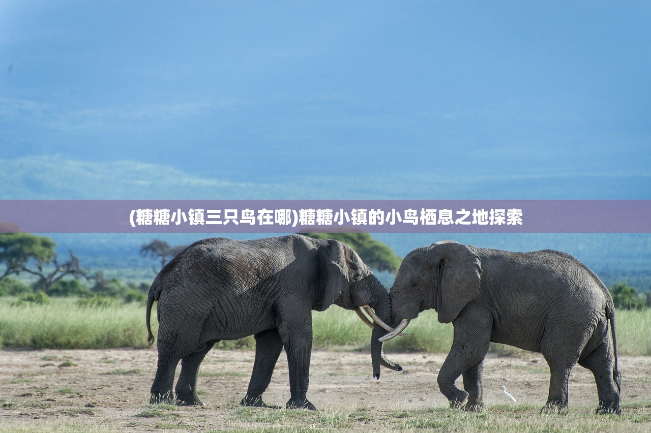 (糖糖小镇三只鸟在哪)糖糖小镇的小鸟栖息之地探索