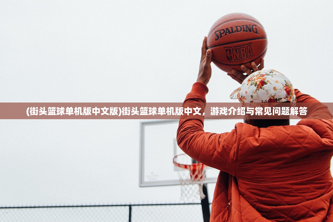 (街头篮球单机版中文版)街头篮球单机版中文，游戏介绍与常见问题解答