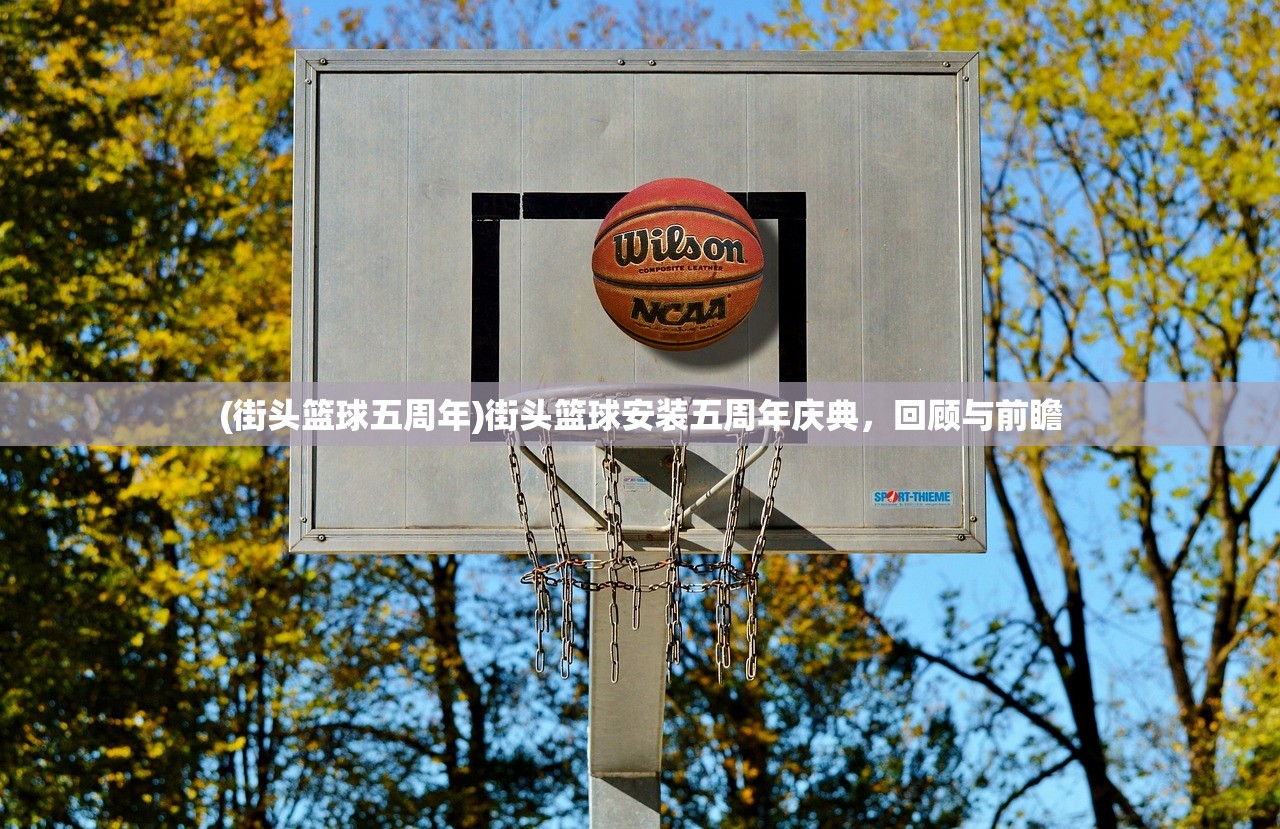 (街头篮球五周年)街头篮球安装五周年庆典，回顾与前瞻