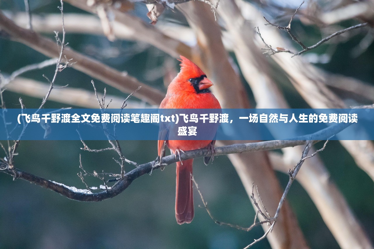 (飞鸟千野渡全文免费阅读笔趣阁txt)飞鸟千野渡，一场自然与人生的免费阅读盛宴