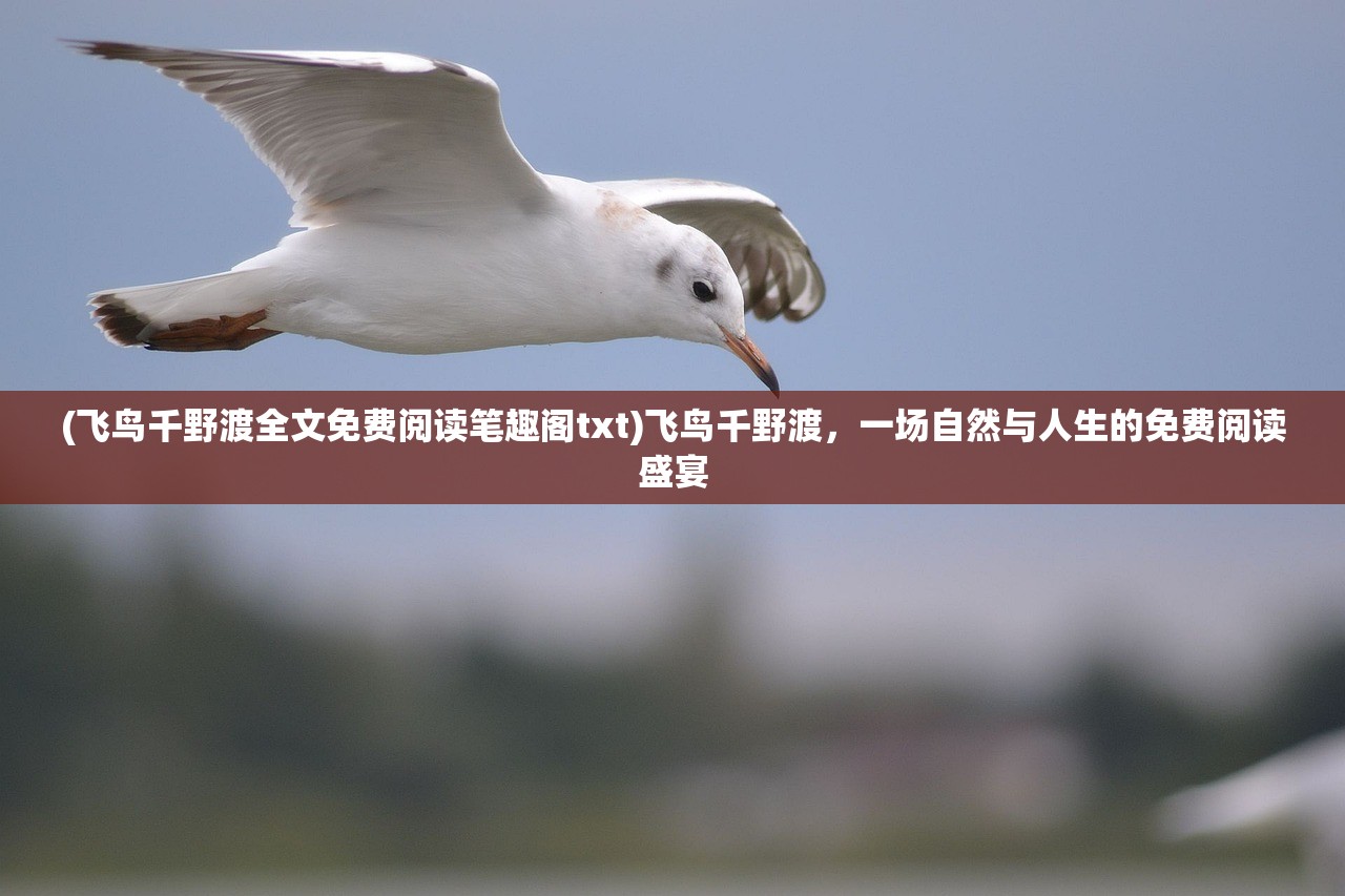 (飞鸟千野渡全文免费阅读笔趣阁txt)飞鸟千野渡，一场自然与人生的免费阅读盛宴