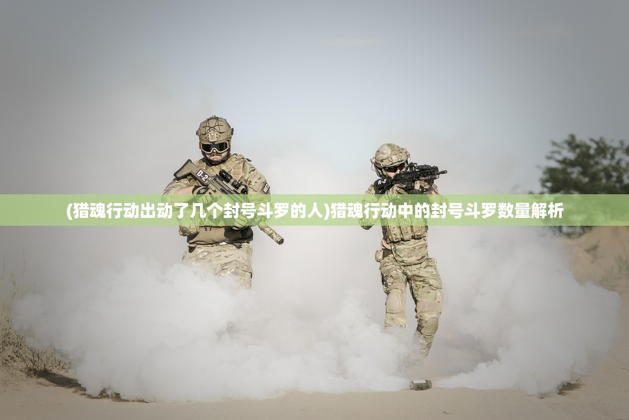 (猎魂行动出动了几个封号斗罗的人)猎魂行动中的封号斗罗数量解析