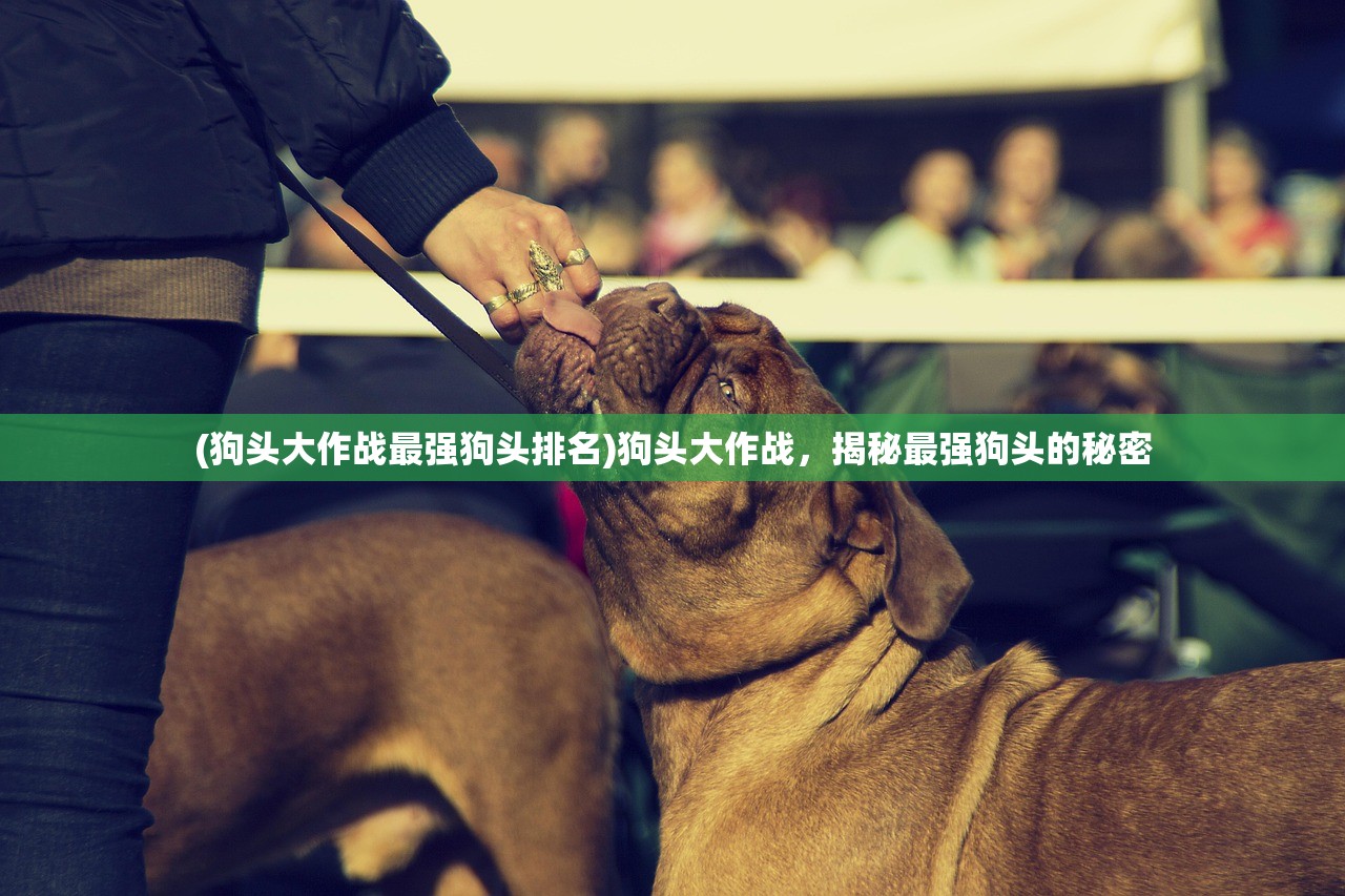 (狗头大作战最强狗头排名)狗头大作战，揭秘最强狗头的秘密