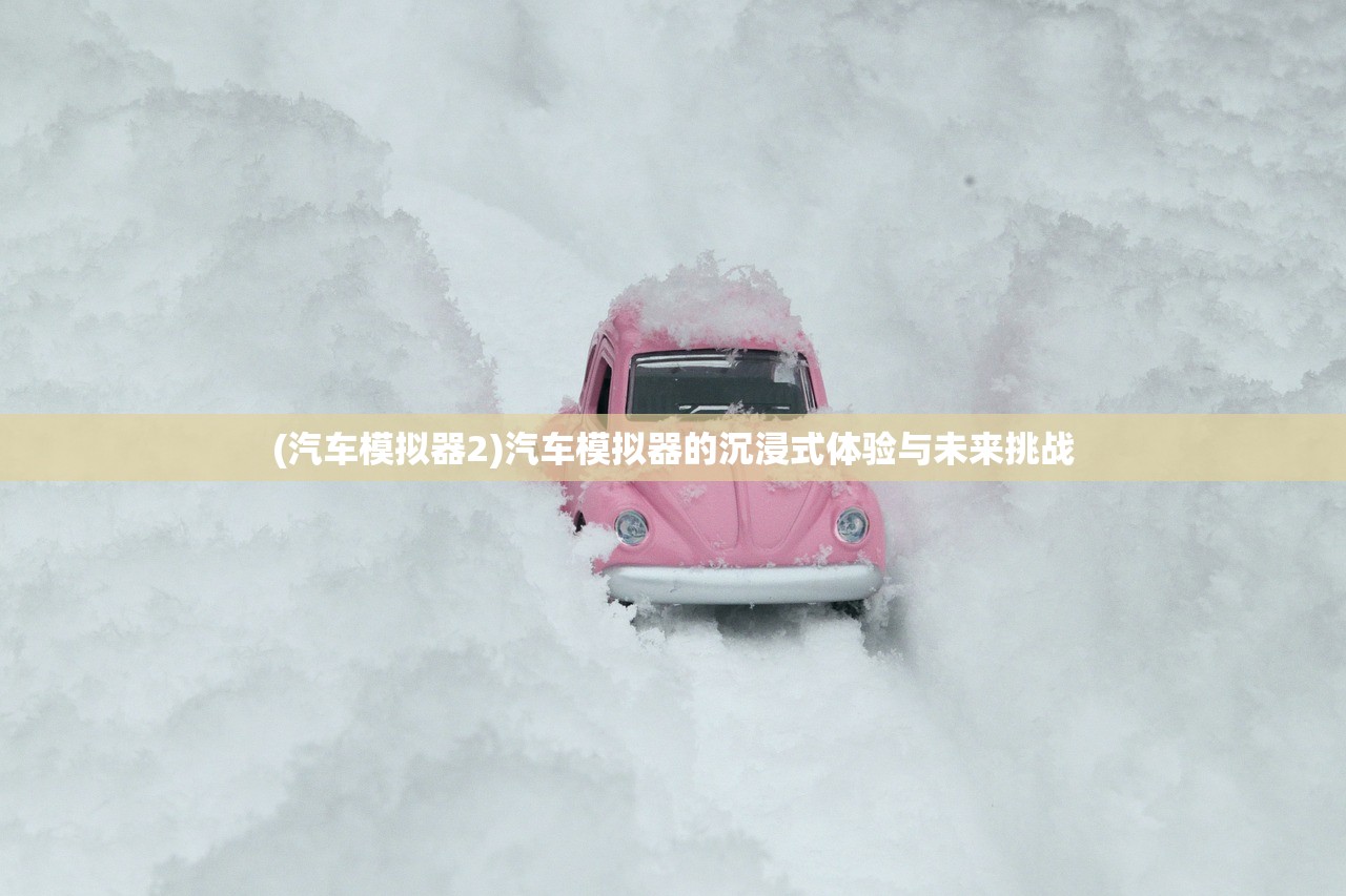 (汽车模拟器2)汽车模拟器的沉浸式体验与未来挑战