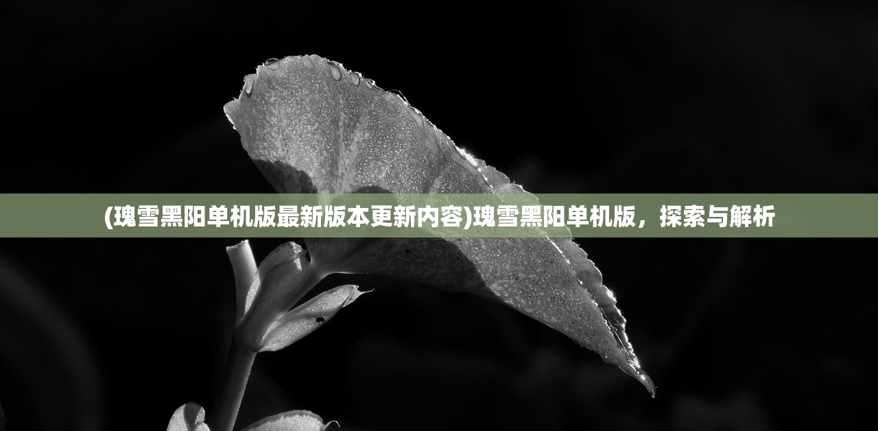 (瑰雪黑阳单机版最新版本更新内容)瑰雪黑阳单机版，探索与解析