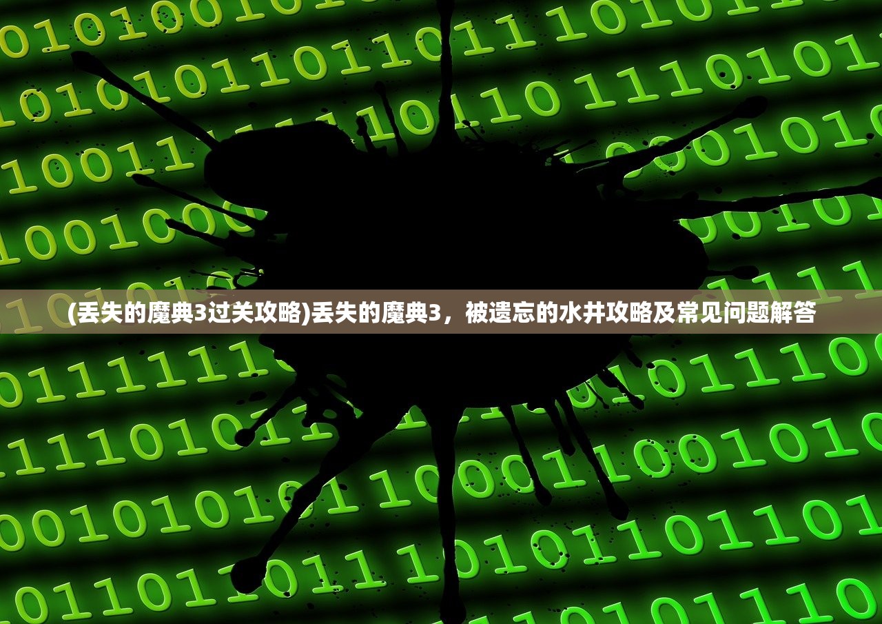 (丢失的魔典3过关攻略)丢失的魔典3，被遗忘的水井攻略及常见问题解答