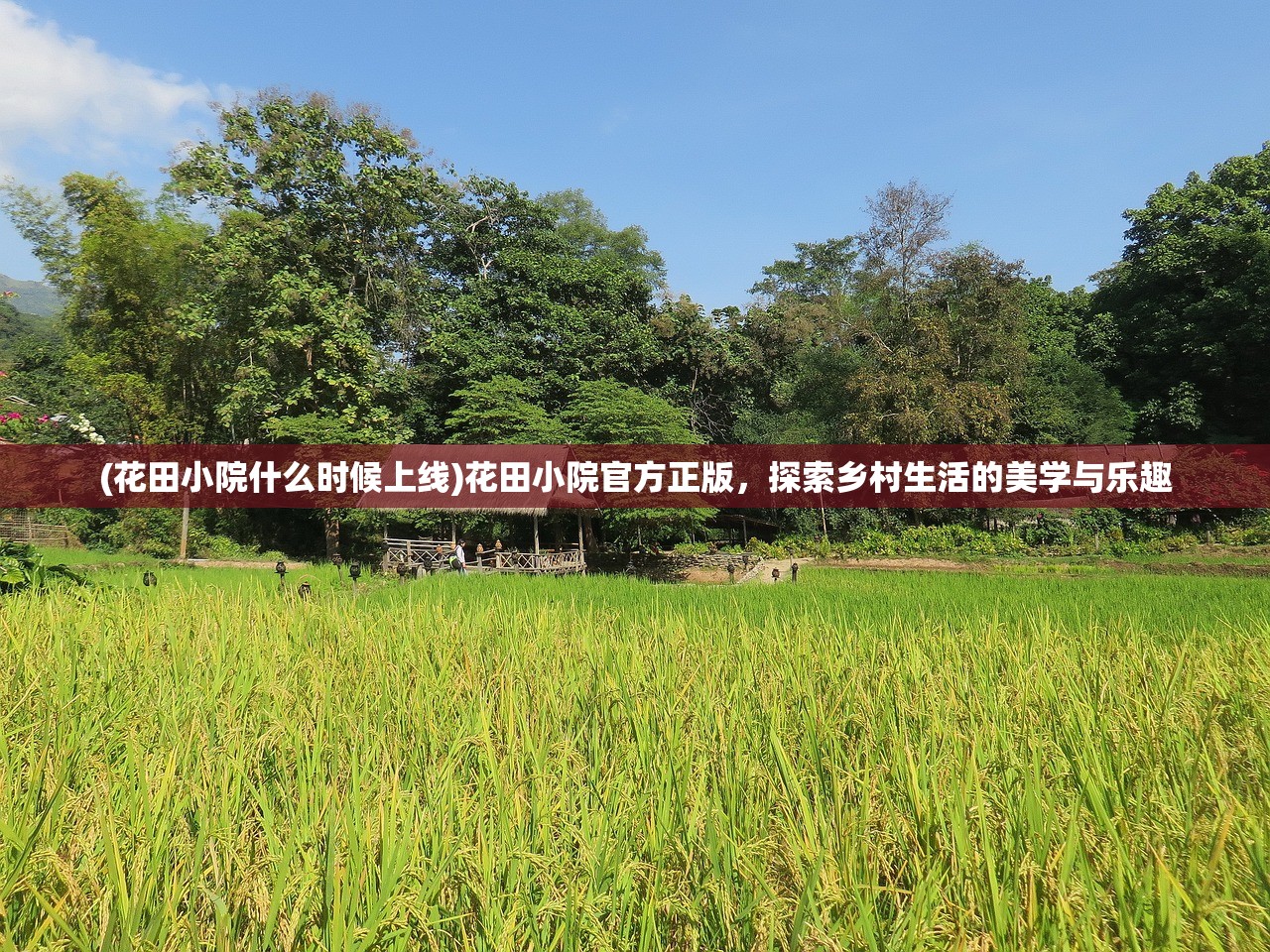 (花田小院什么时候上线)花田小院官方正版，探索乡村生活的美学与乐趣