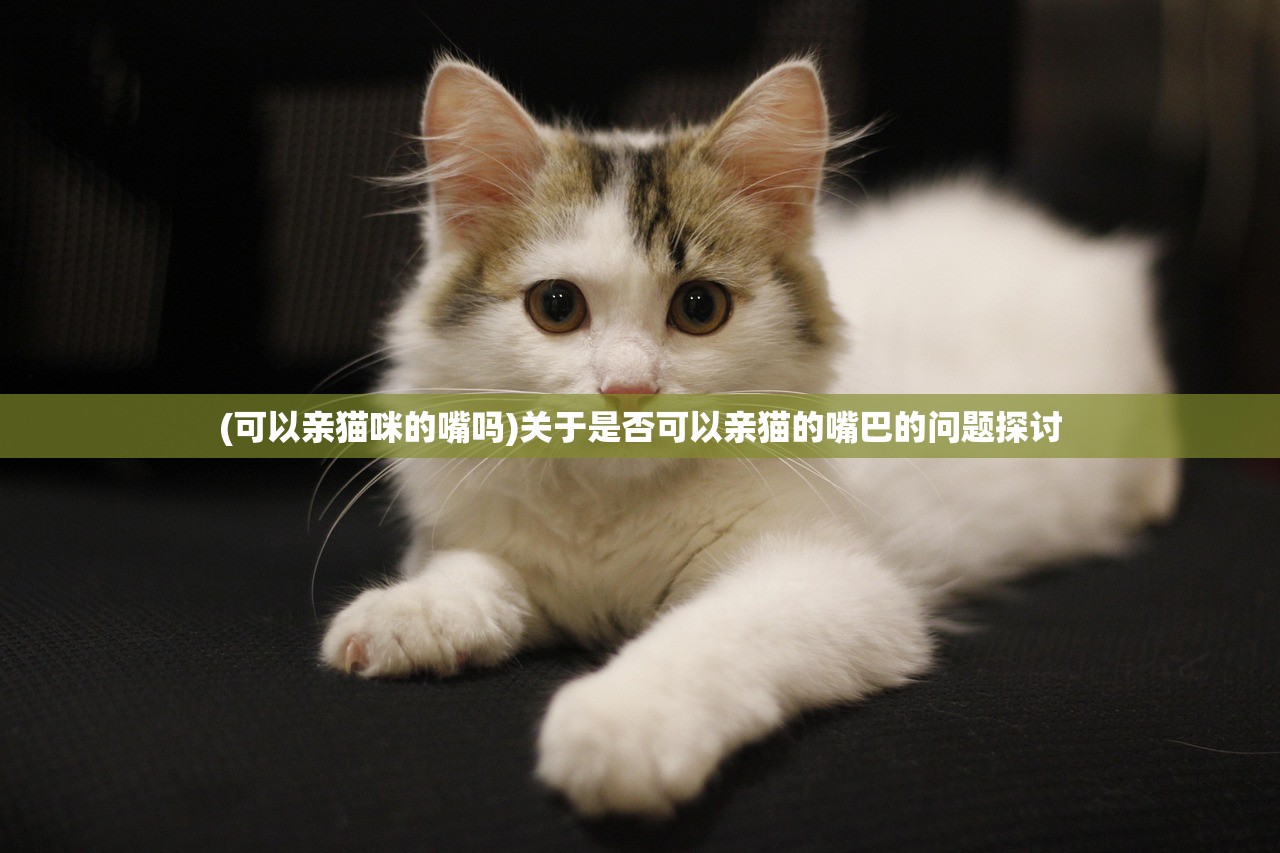 (可以亲猫咪的嘴吗)关于是否可以亲猫的嘴巴的问题探讨