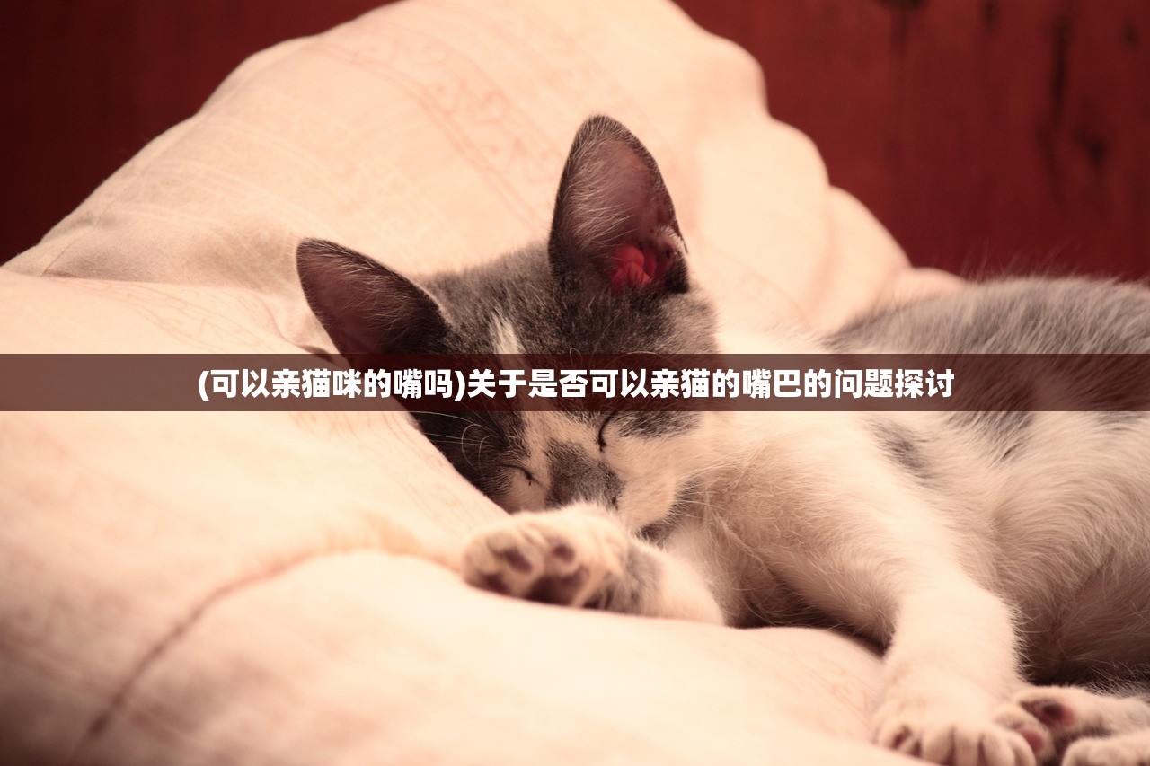 (可以亲猫咪的嘴吗)关于是否可以亲猫的嘴巴的问题探讨