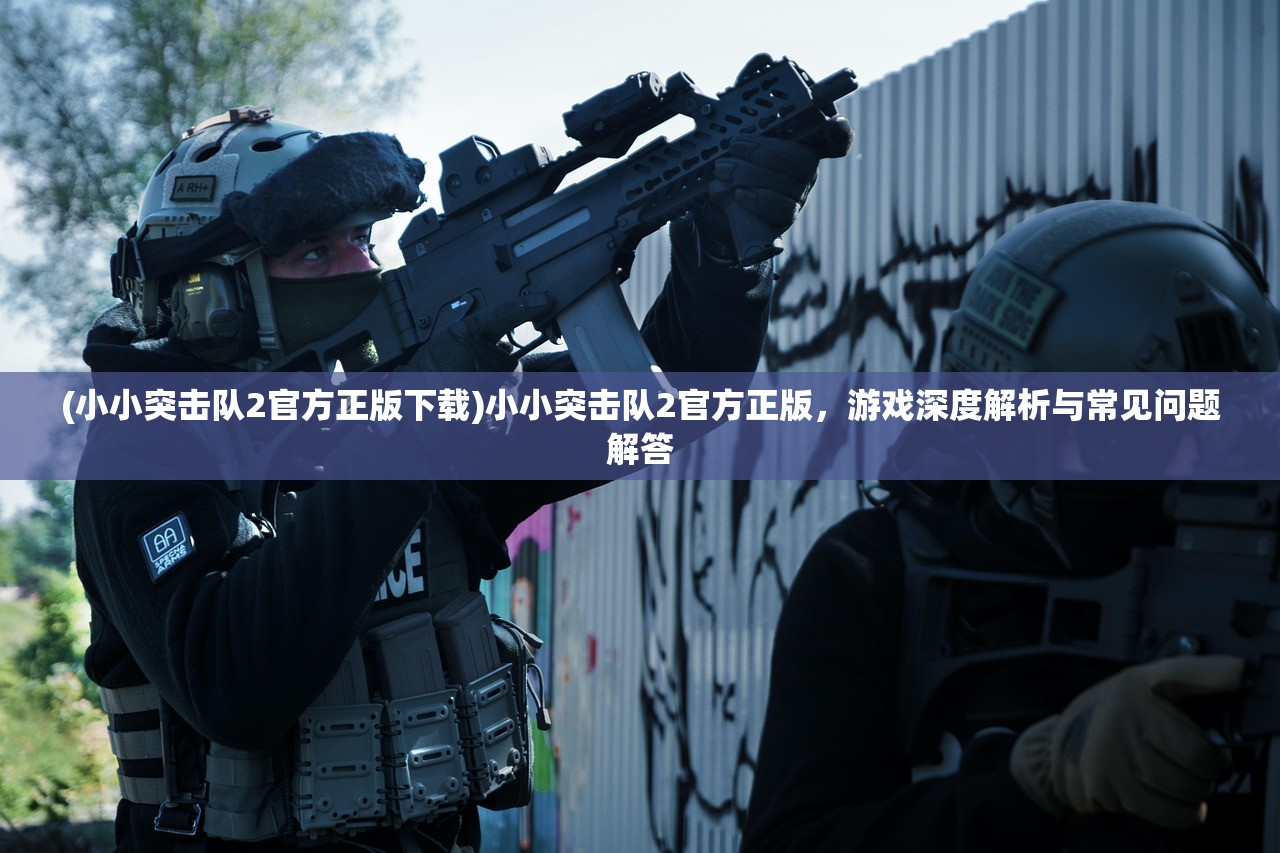 (小小突击队2官方正版下载)小小突击队2官方正版，游戏深度解析与常见问题解答